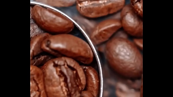 Negão dotado fodendo a Branca de Neve Asiática na frente do Corninho dando muito leitinho – Latina safada sentando no Negão enquanto chupa o Noivo